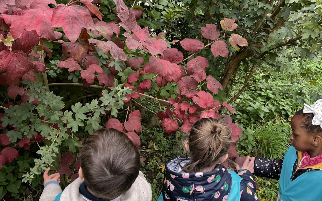 Thema Herfst