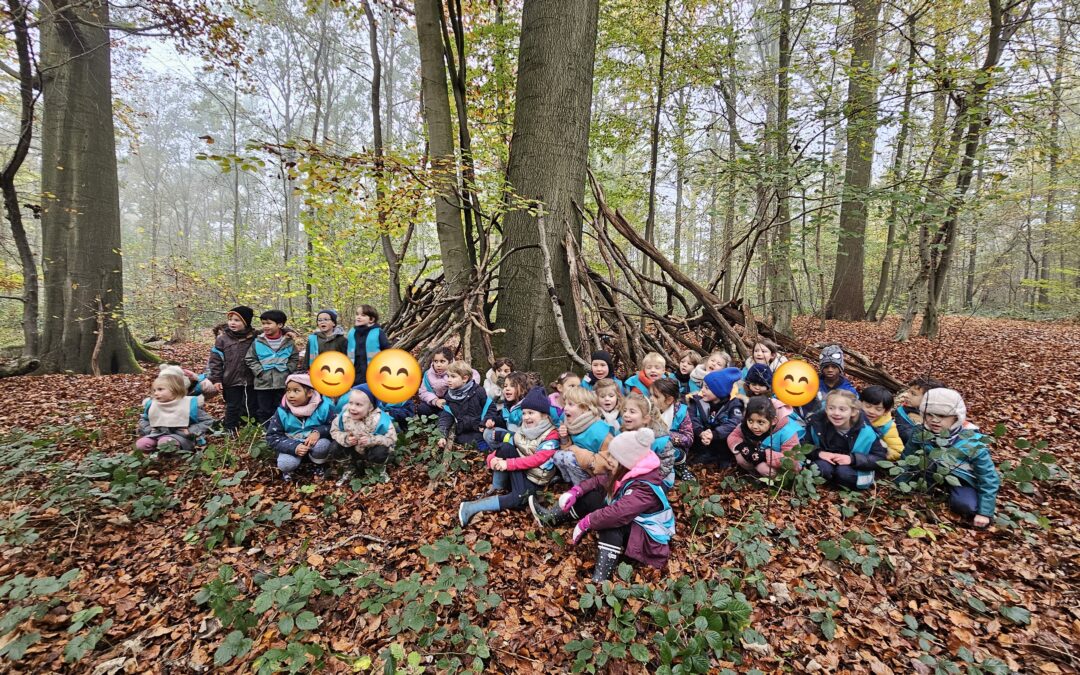 Uitstap naar het bos