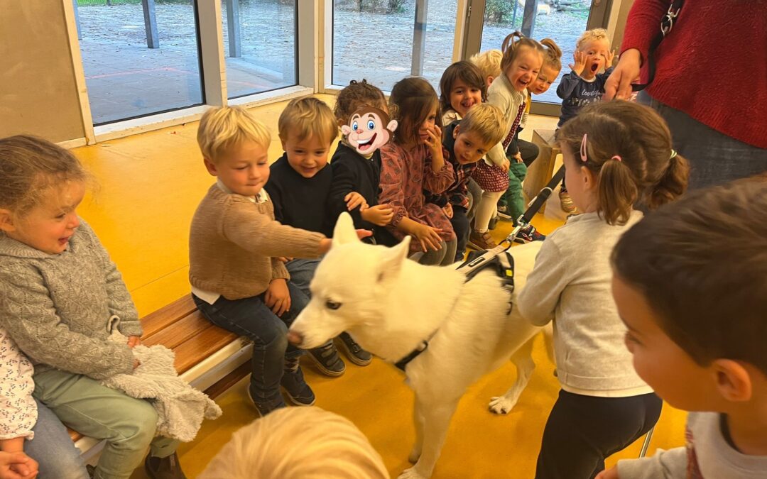 THEMA: HUISDIEREN